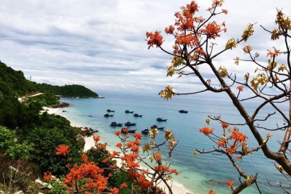 岘港市– 生物圈保护区– 潜水看珊瑚