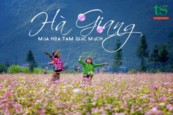 Du lịch Hà Giang ngắm mùa hoa tam giác mạch đẹp ngỡ ngàng