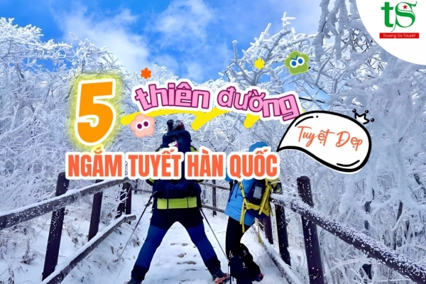 Du khách trầm trồ trước 5 địa điểm ngắm tuyết rơi tại Hàn Quốc đẹp như phim