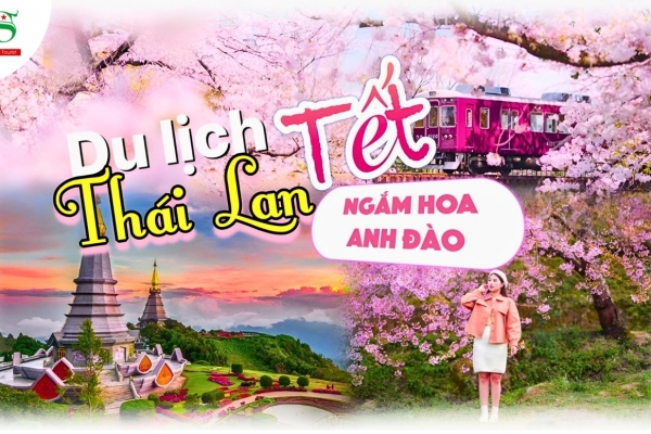 Trải nghiệm du xuân Thái Lan, ngắm mùa hoa anh đào đẹp ngẩn ngơ