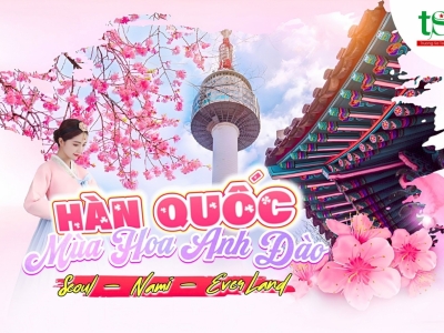 Tour Hàn Quốc 5N4Đ Mùa Hoa Anh Đào 2024 Từ Đà Nẵng Giá Tốt