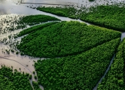 Explore the natural wonders of Ca Mau, the southernmost region of Vietnam