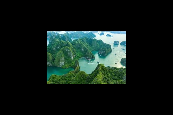 Why should you choose Halong Bay as your summer travel destination?