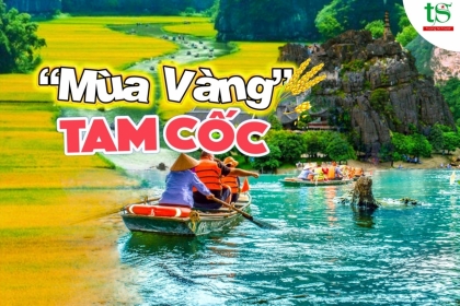 Hè đến, du lịch Ninh Bình khám phá mùa vàng Tam Cốc 2024