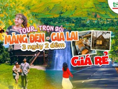 Tour Đà Nẵng - Măng Đen - Gia Lai 3 ngày 2 đêm trải nghiệm lễ hội hoa dã quỳ giá siêu tốt