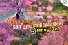 [MỚI NHẤT] Cẩm nang 