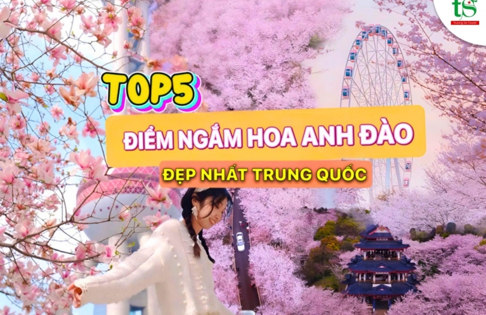 Top 5 địa điểm ngắm hoa anh đào tại Trung Quốc đẹp nhất 2025