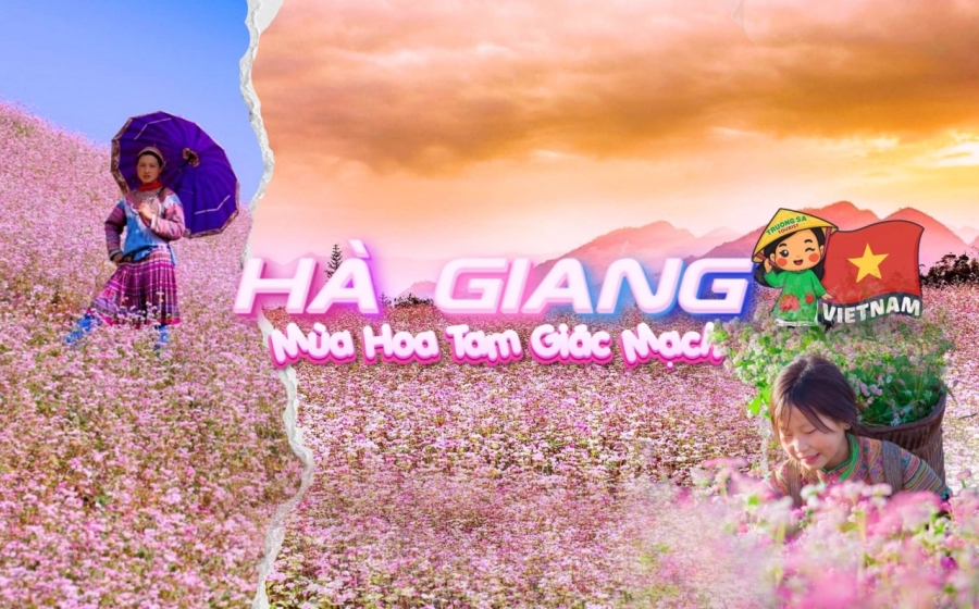 Mùa hoa tam giác mạch Hà Giang 2025: Thời điểm lý tưởng & lịch trình 3N2Đ