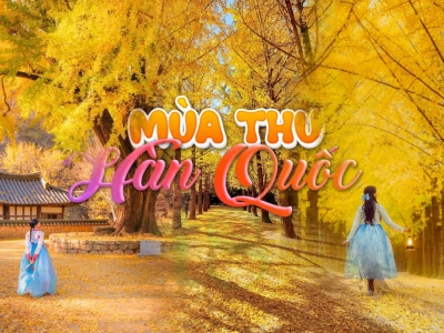 Tour Hàn Quốc mùa thu 2025 giá tốt nhất