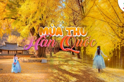 Tour Hàn Quốc mùa thu 2025 giá tốt nhất