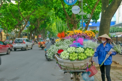 15 Days explore Viet Nam, North - Central - South 15 Days explore Viet Nam, North - Central - South