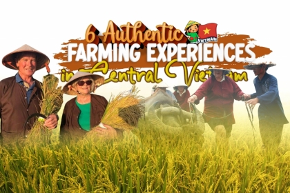 6 Authentic Farming Experiences in Central Vietnam You Must Try 6 Authentic Farming Experiences in Central Vietnam You Must Try