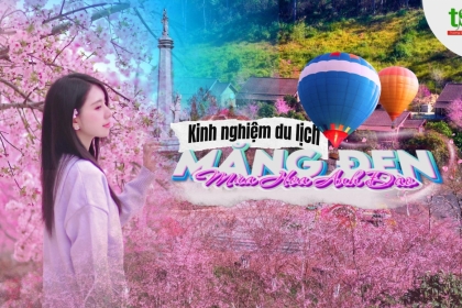 Du lịch Măng Đen Tết 2026: Kinh nghiệm ngắm hoa anh đào, lịch trình & lưu ý Du lịch Măng Đen Tết 2026: Kinh nghiệm ngắm hoa anh đào, lịch trình & lưu ý