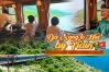 Da Nang to Hue by Train: Vietnam’s Most Scenic Railway Journey (2026 Guide)