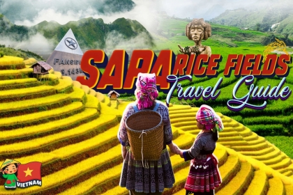 Sapa Rice Fields Travel Guide (2026): Best Time to Visit, Top Locations & Local Tips