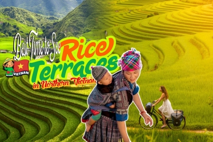Best Time to See Rice Terraces in Northern Vietnam (2026) Best Time to See Rice Terraces in Northern Vietnam (2026)