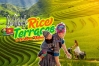 Best Time to See Rice Terraces in Northern Vietnam (2026)