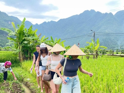 6 DAYS  Northeast Vietnam Mai Chau Pu Luong  Ninh Binh  Into the Heart of Authenticity