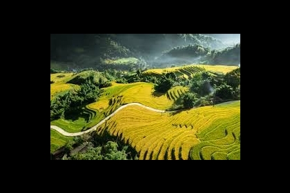 Ha Noi - Ha Long bay - Sa Pa - Ha Noi 5-days 4-nights