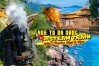 Hue to Da Nang by Steam Train: A Scenic Vietnam Journey