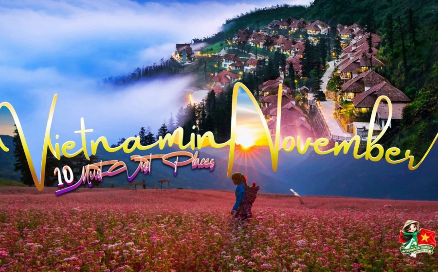 Where to Go in Vietnam in November 2026? 10 Must-Visit Places