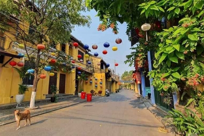 TOUR TẾT DƯƠNG LỊCH ĐÀ NẴNG 4N3Đ GIÁ RẺ