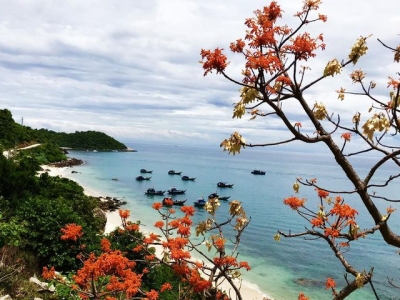 岘港市– 生物圈保护区– 潜水看珊瑚