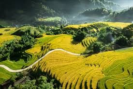 Ha Noi - Ha Long bay - Sa Pa - Ha Noi 5-days 4-nights